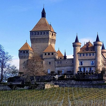 Guest House La Sereine Romanel-sur-Morges Екстериор снимка